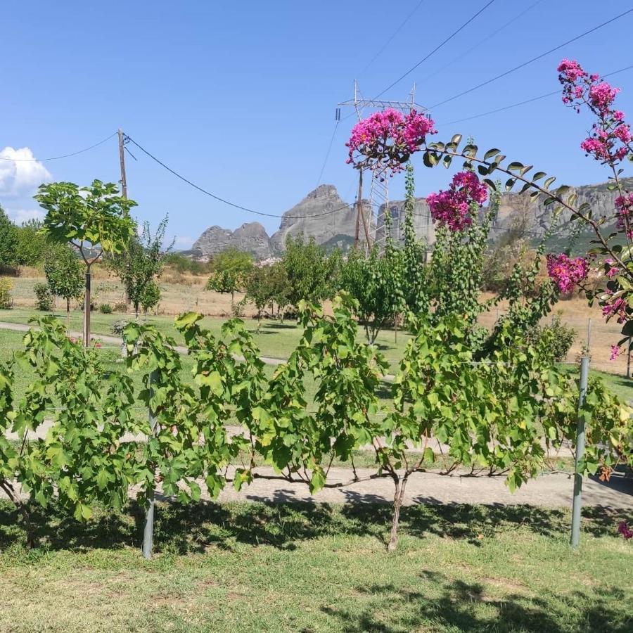 Meteora Countryside Villa Καλαμπάκα Εξωτερικό φωτογραφία