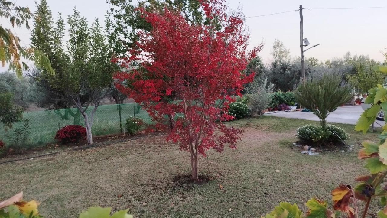 Meteora Countryside Villa Καλαμπάκα Εξωτερικό φωτογραφία