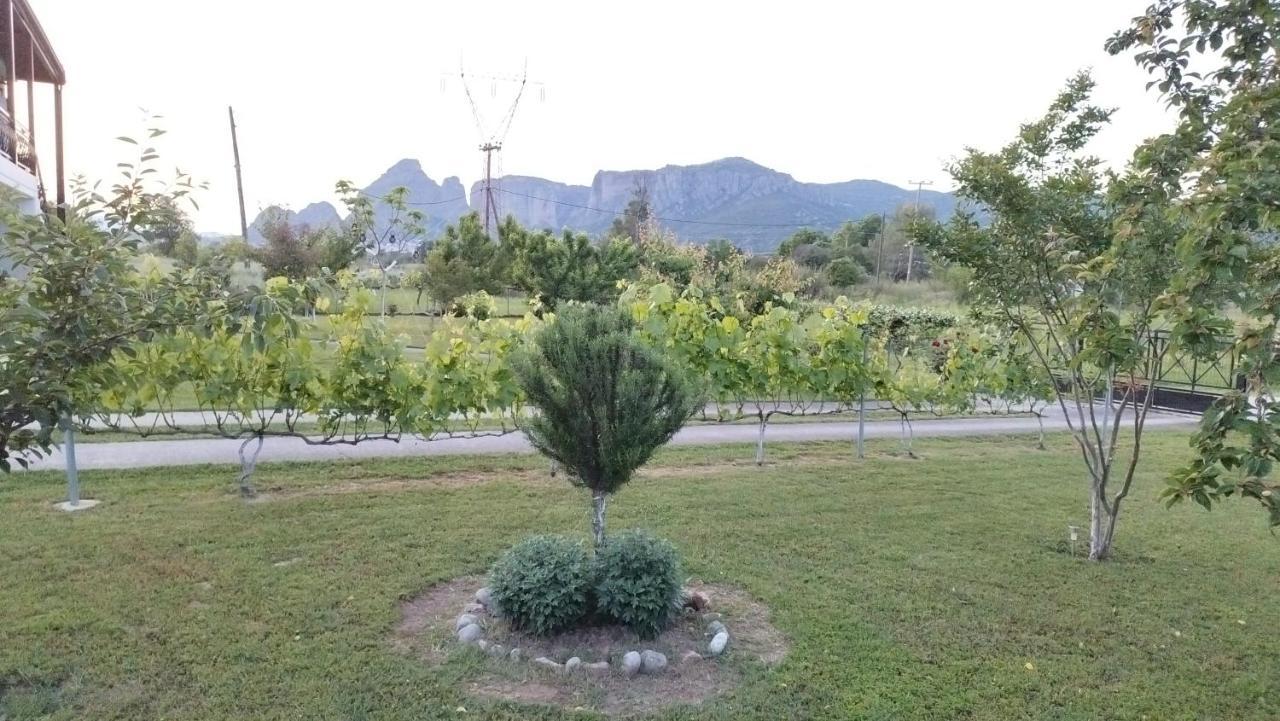 Meteora Countryside Villa Καλαμπάκα Εξωτερικό φωτογραφία