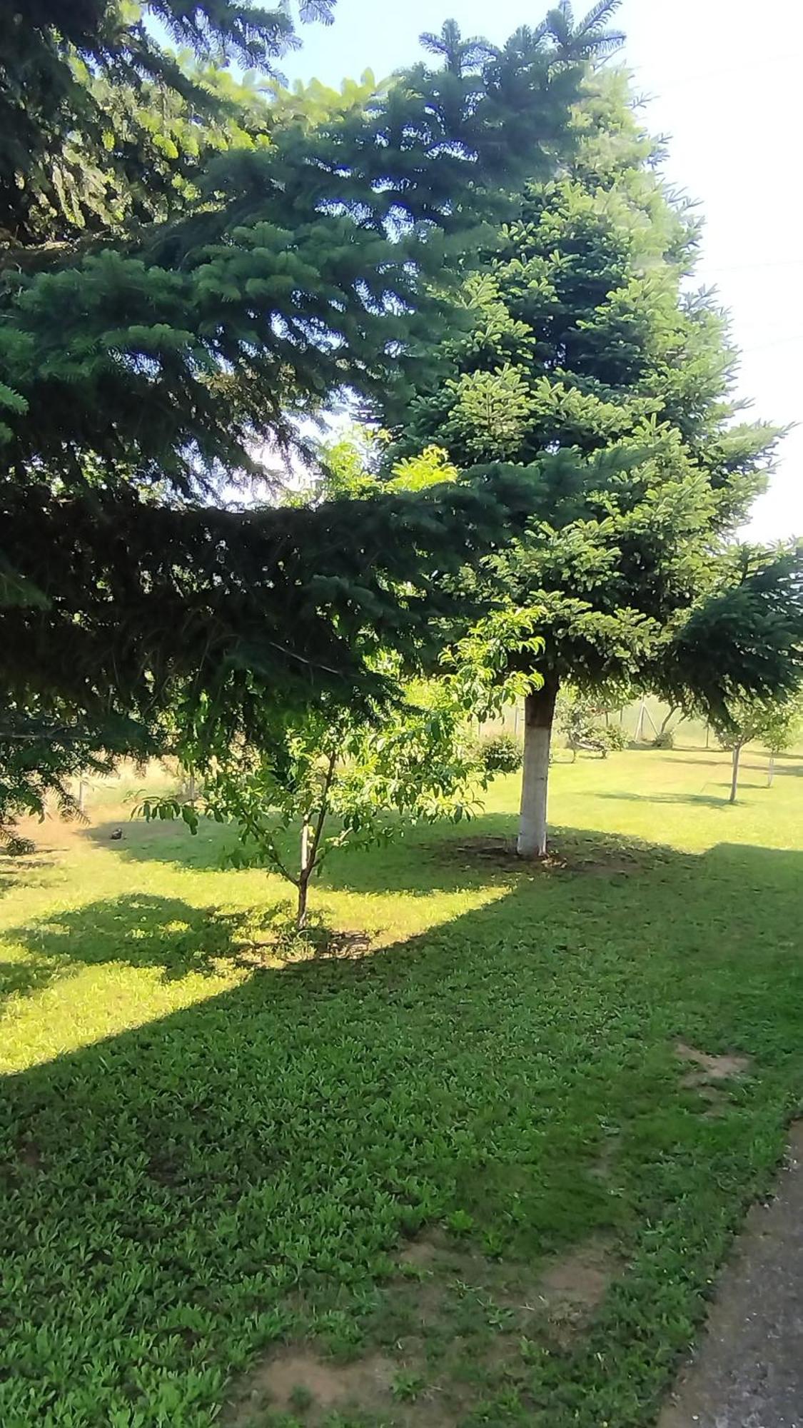 Meteora Countryside Villa Καλαμπάκα Εξωτερικό φωτογραφία