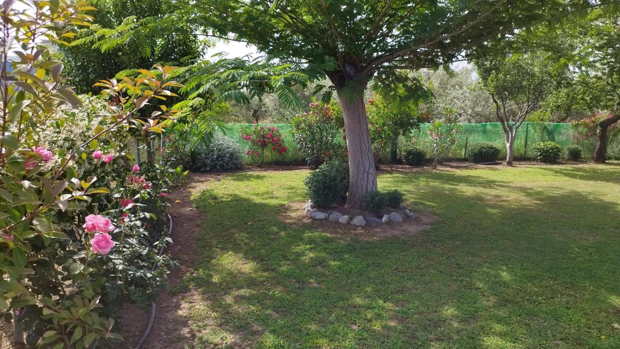 Meteora Countryside Villa Καλαμπάκα Εξωτερικό φωτογραφία
